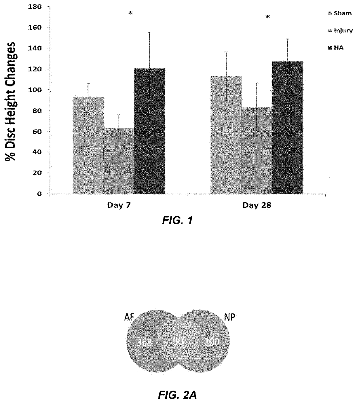 Regeneration of diseases intervertebral discs