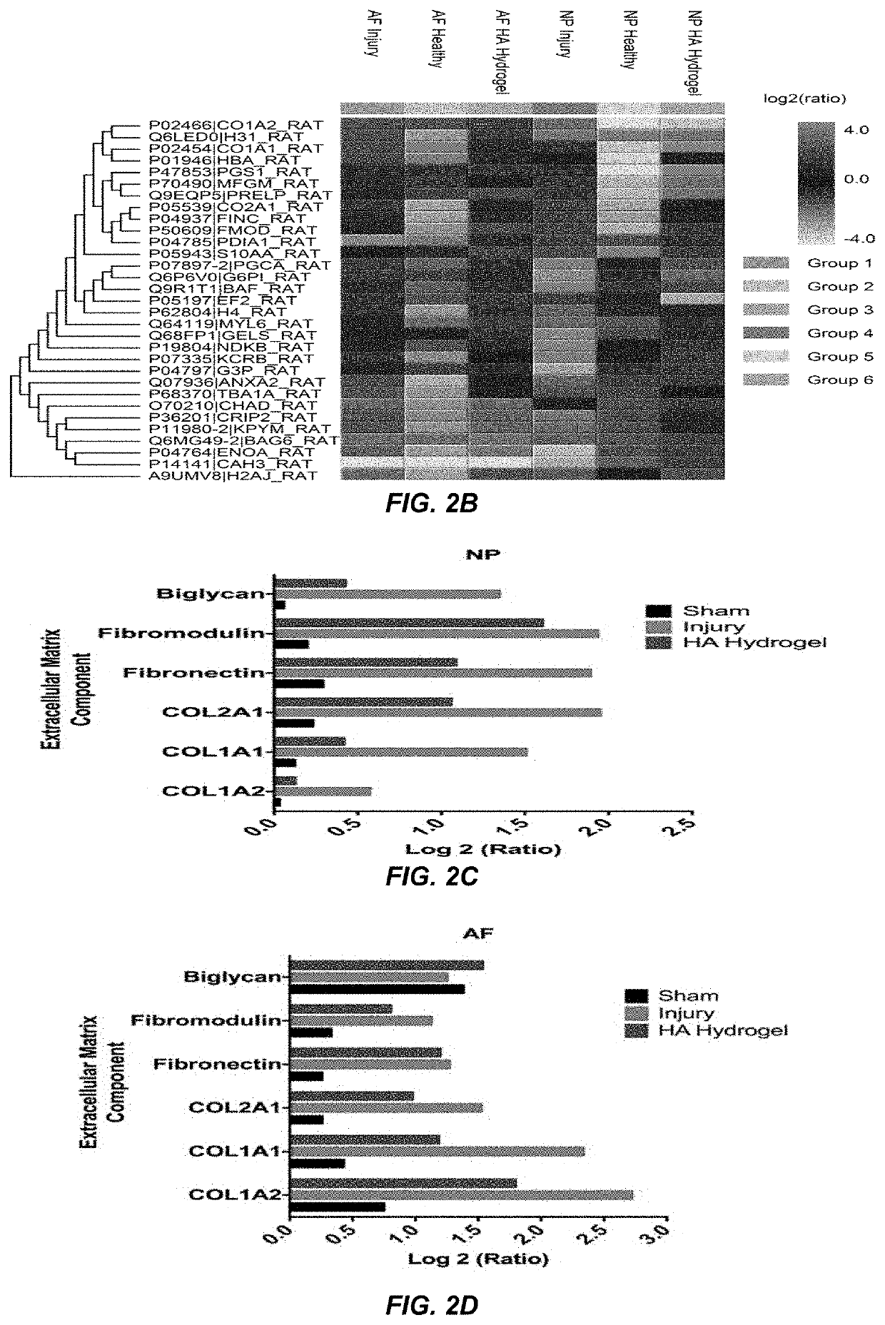 Regeneration of diseases intervertebral discs