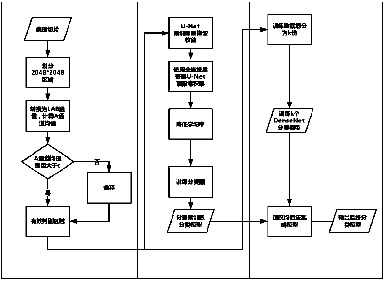 Method for identifying unconventional cells in pathological section