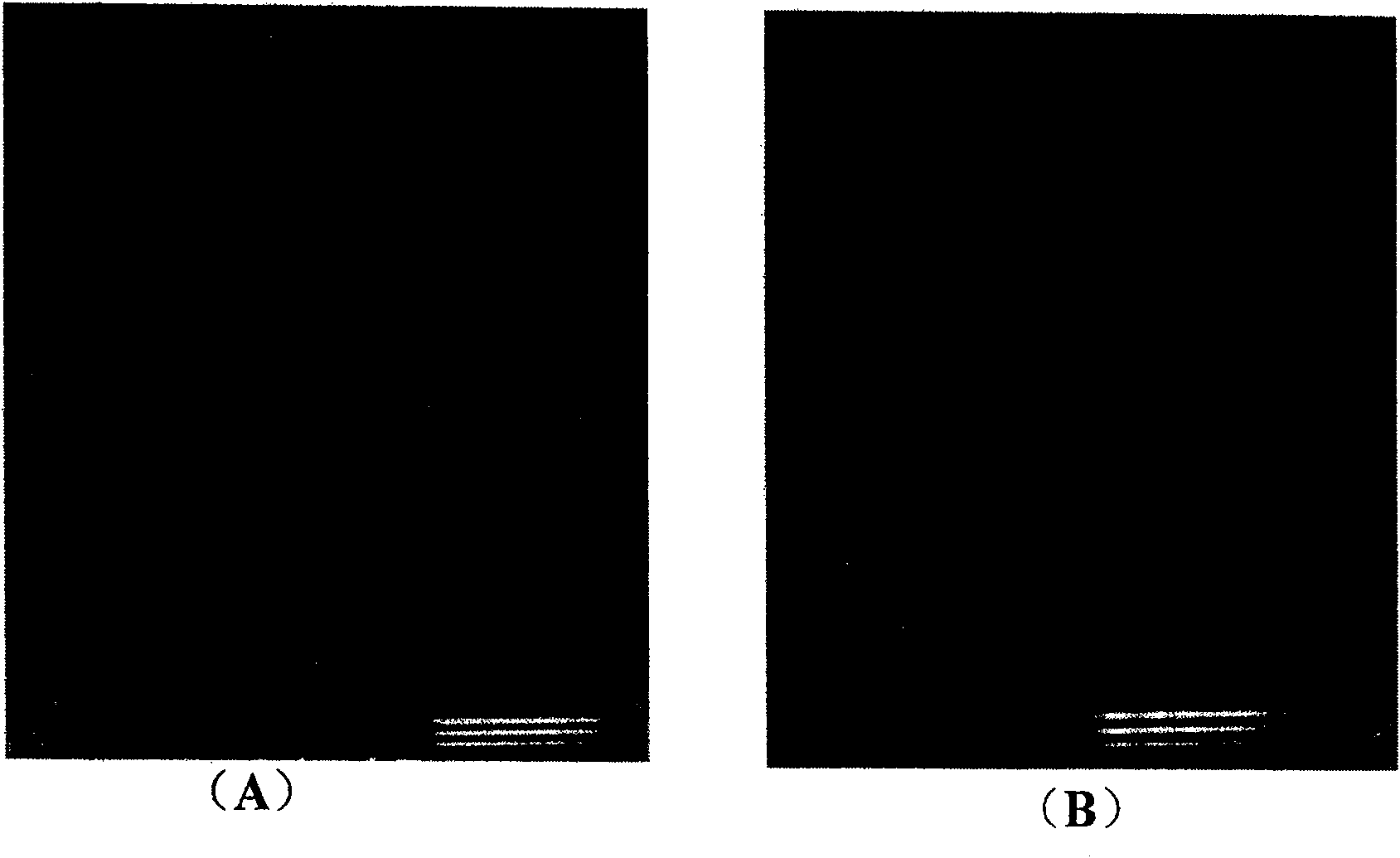 Styryl compound modified by azo-containing heterocyclic and use thereof