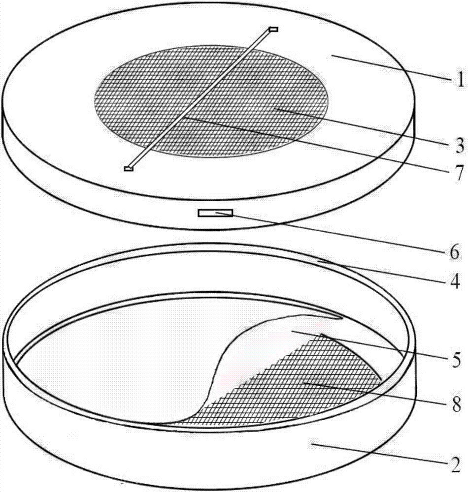 Device and method for testing stomach toxicity and contact toxicity of frankliniella occidentalis