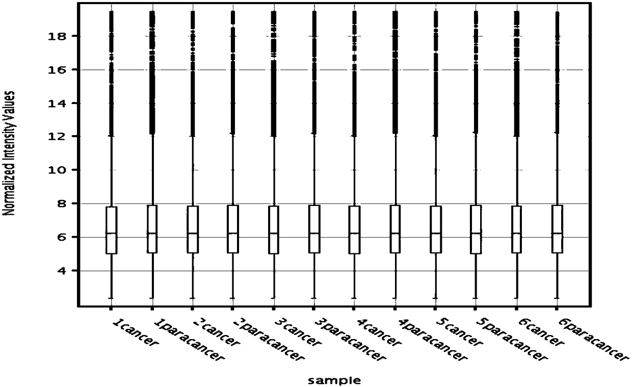 lncRNA molecule enst00000438553 and its application in auxiliary diagnosis of nasopharyngeal carcinoma