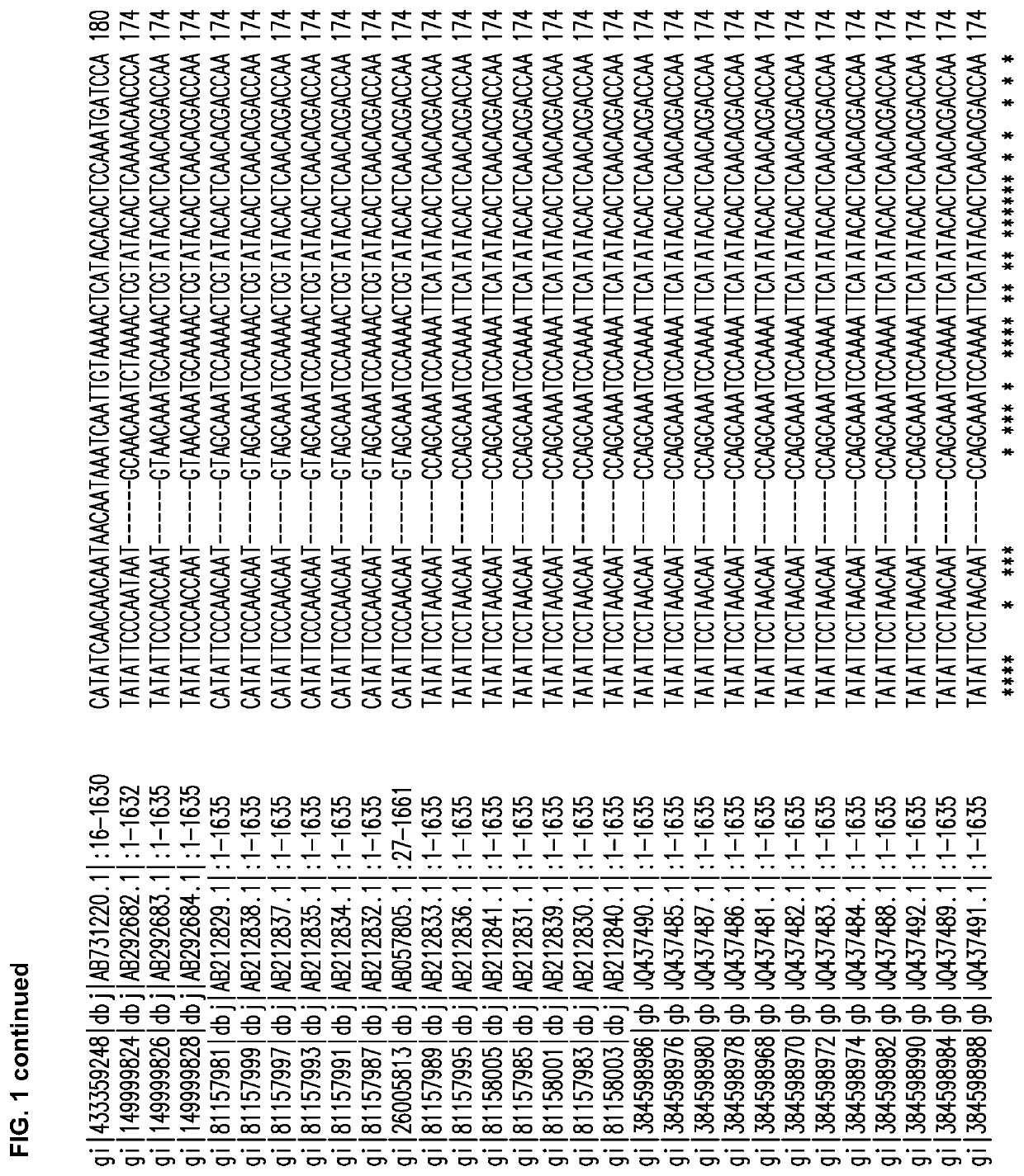 Cannabis plants having modified expression of THCA synthase