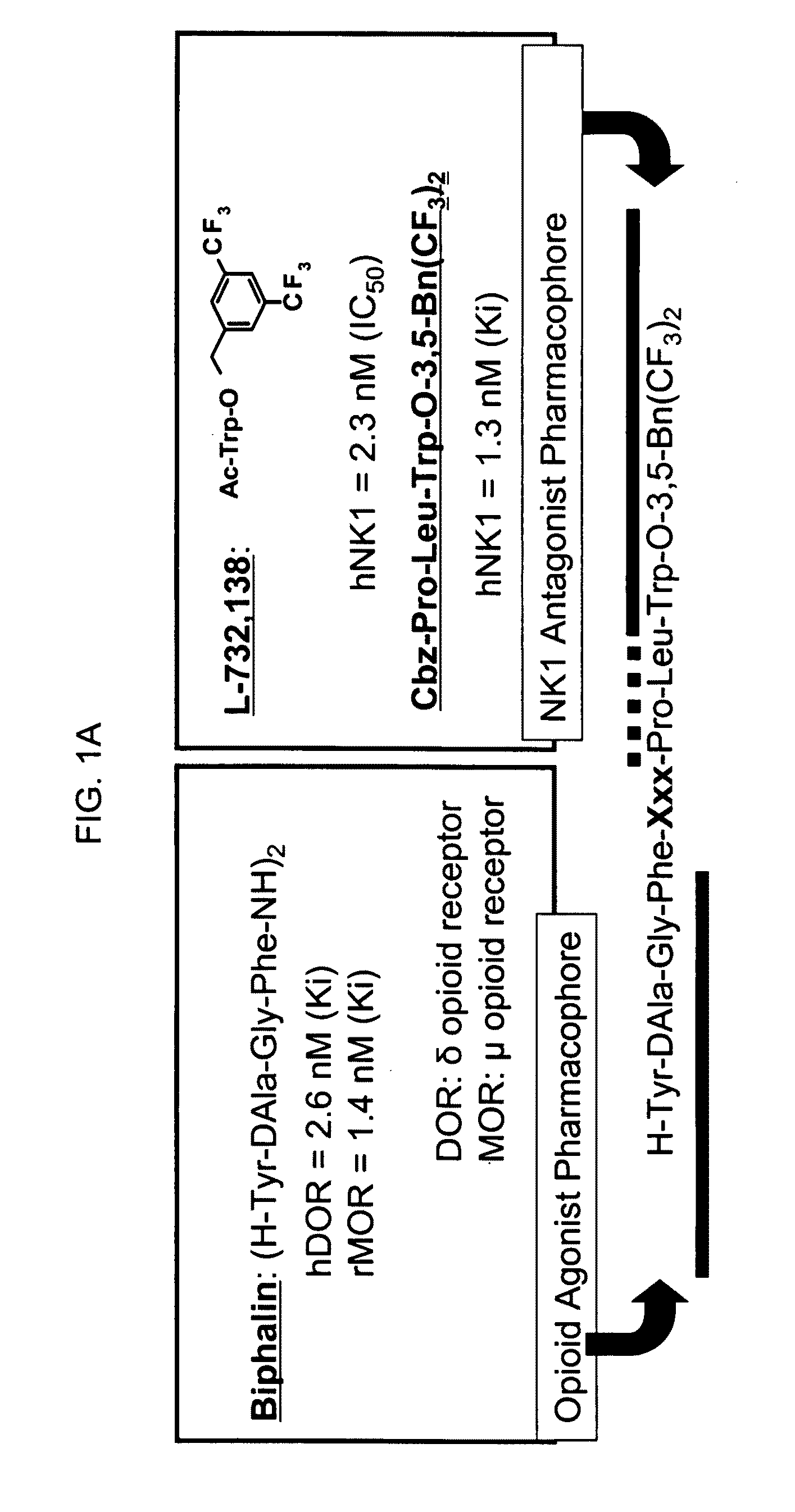 Bifunctional analgesic compounds for opioid receptor agonists and neurokinin-1 receptor antagonists