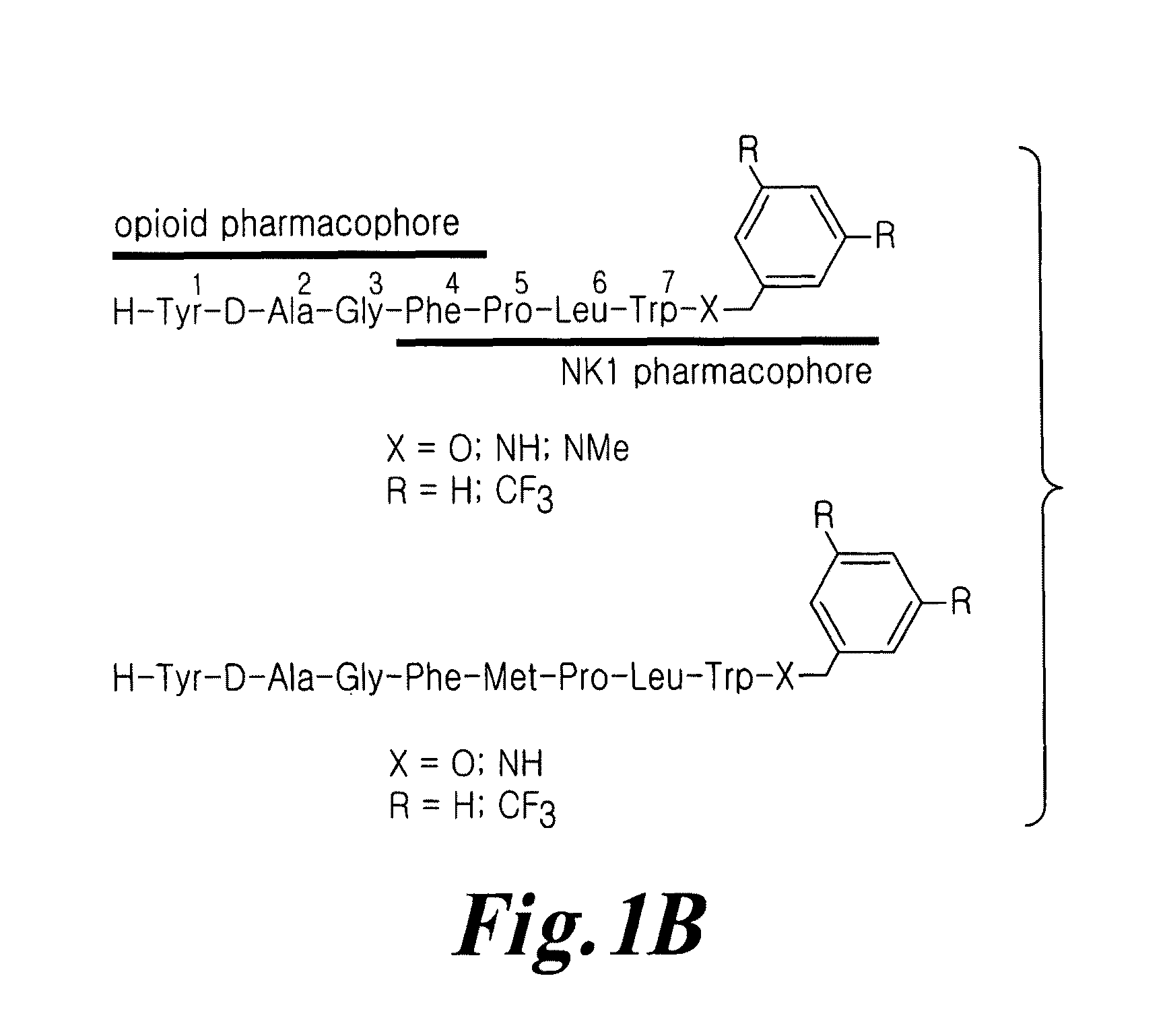 Bifunctional analgesic compounds for opioid receptor agonists and neurokinin-1 receptor antagonists