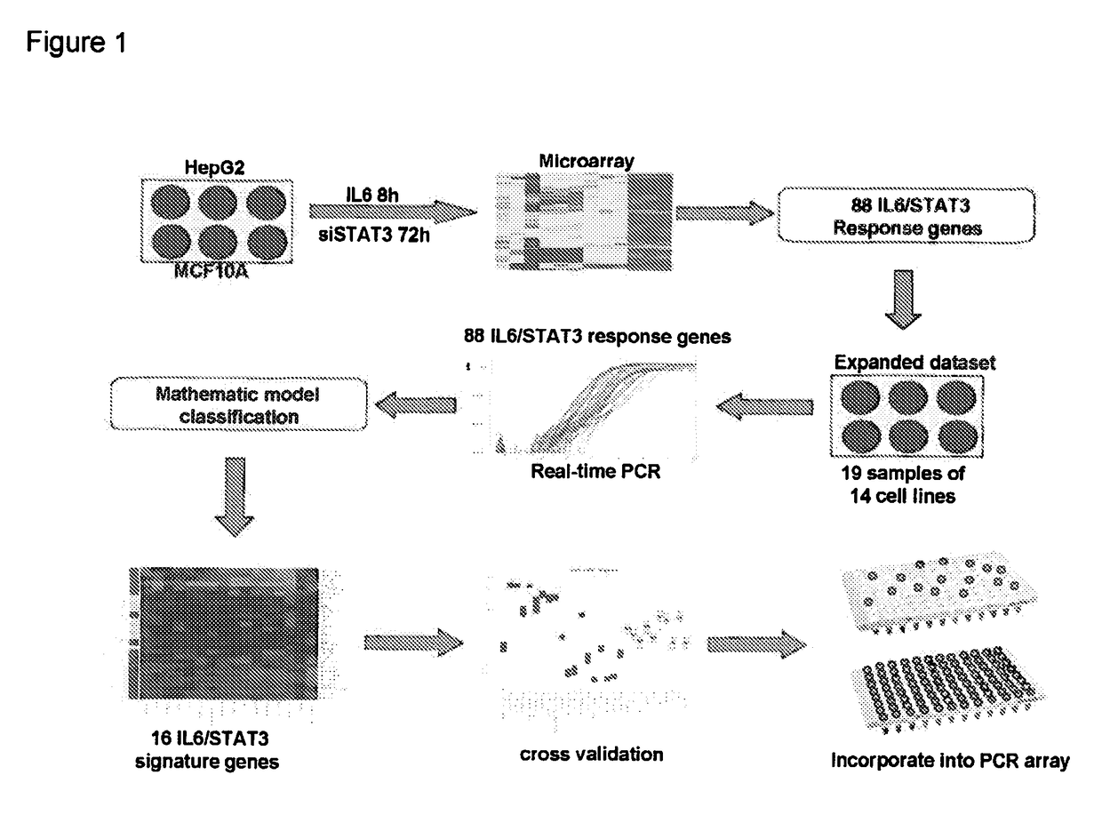 Gene expression signature for IL-6/STAT3 signaling pathway and use thereof