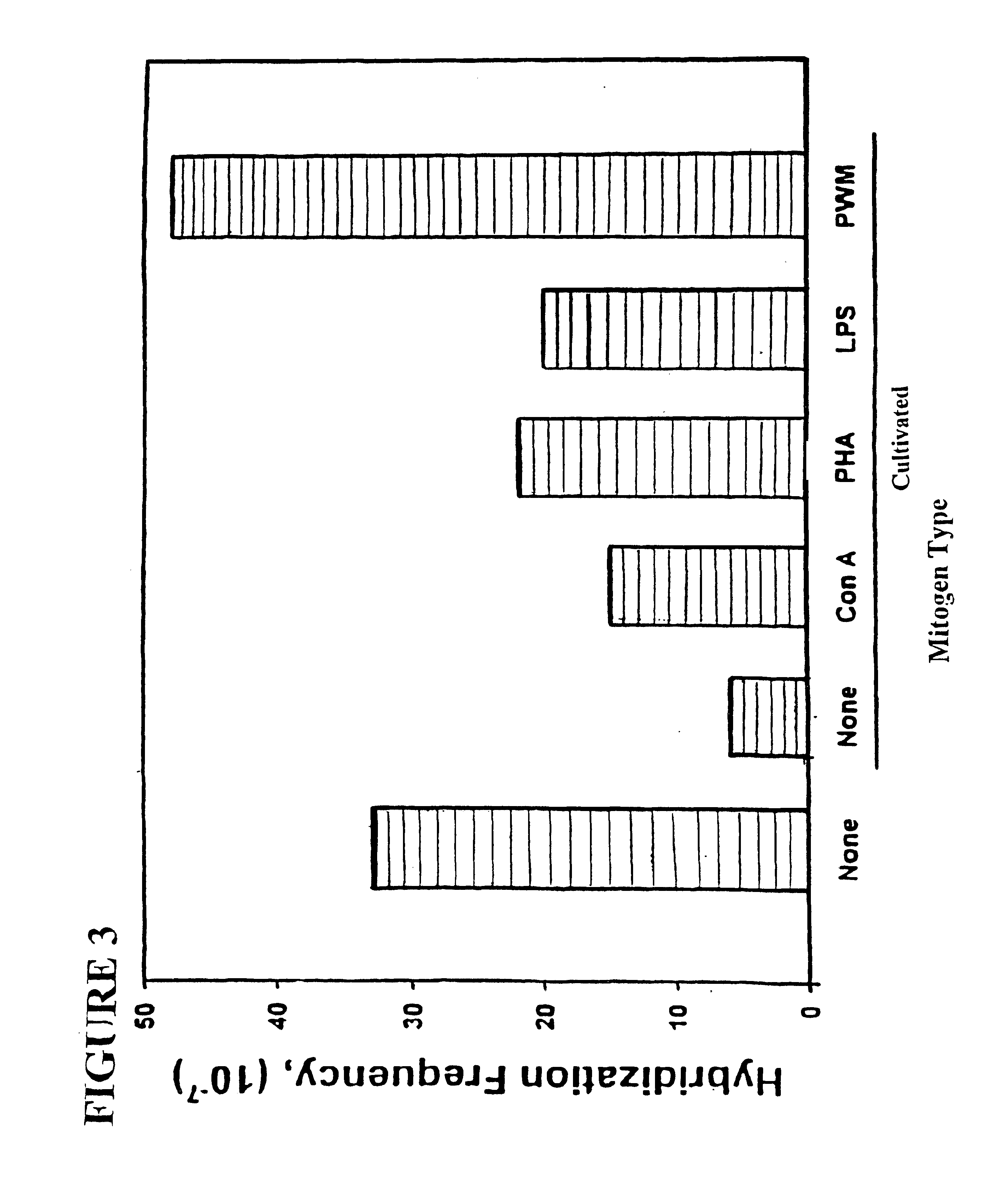 Tumor-associated marker