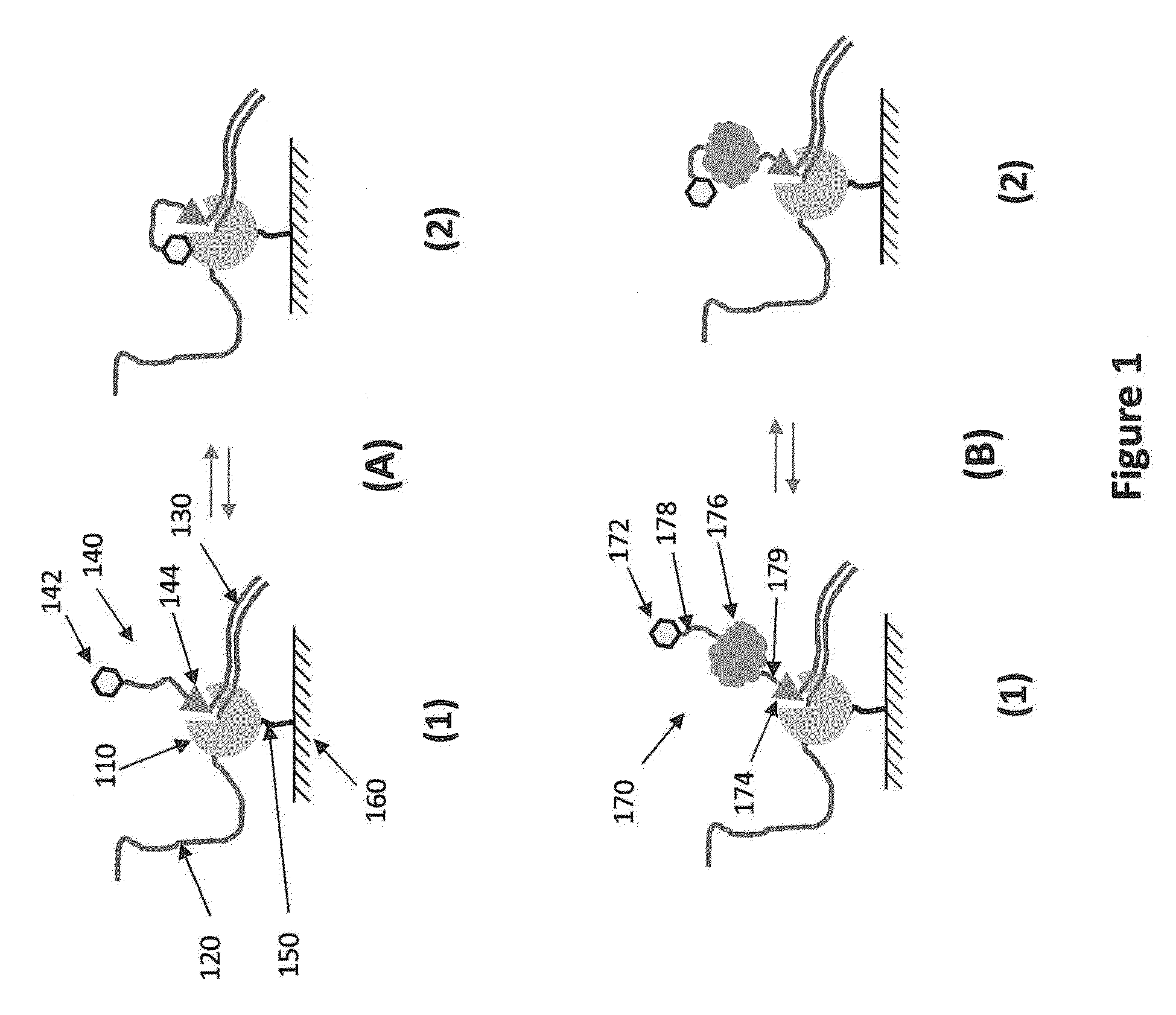 Polymerase enzyme substrates with protein shield