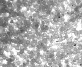 Lithium battery spherical positive electrode material with lithium fluoride coating layer and preparation method