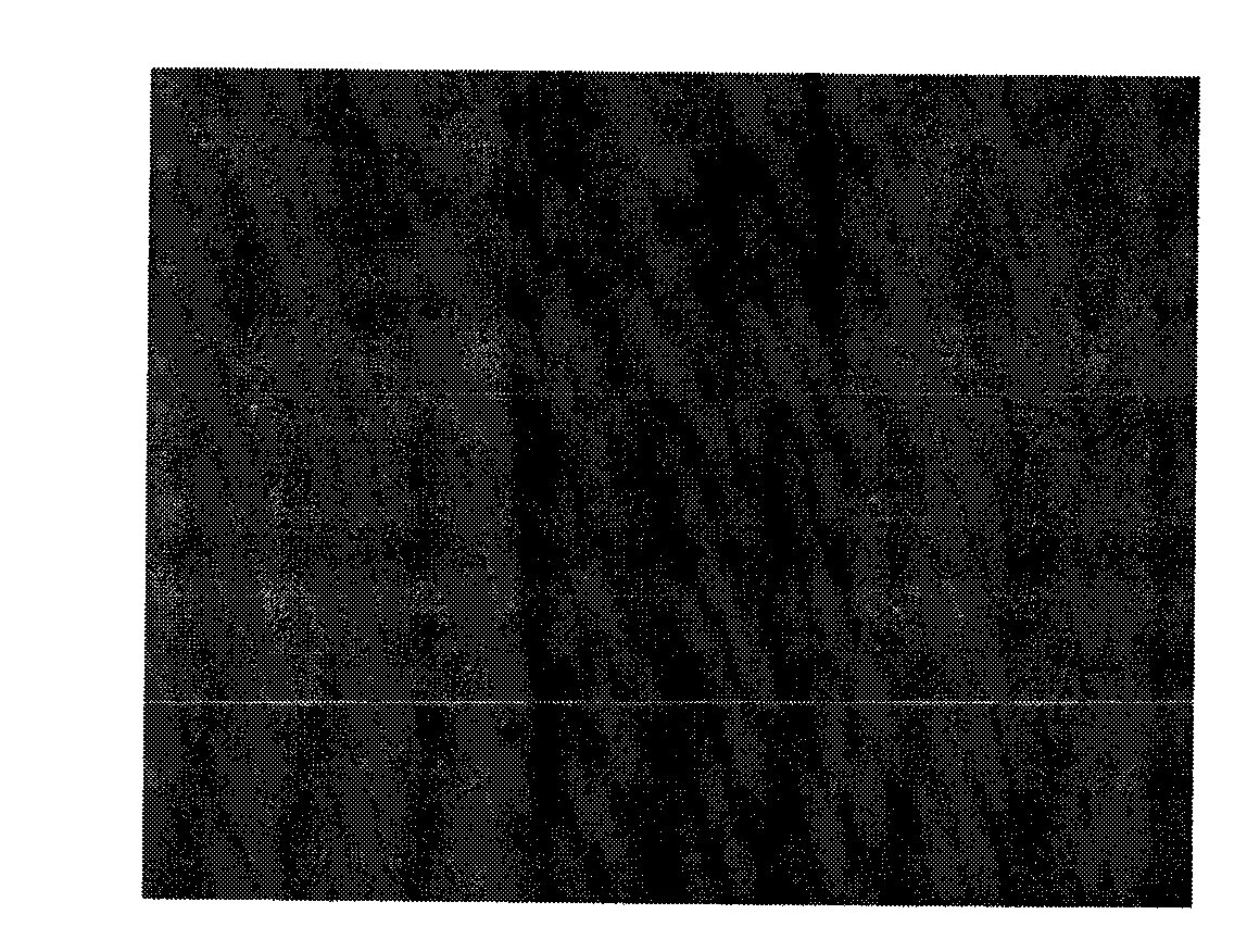 Lamellar carbon nanofibre and preparation method thereof