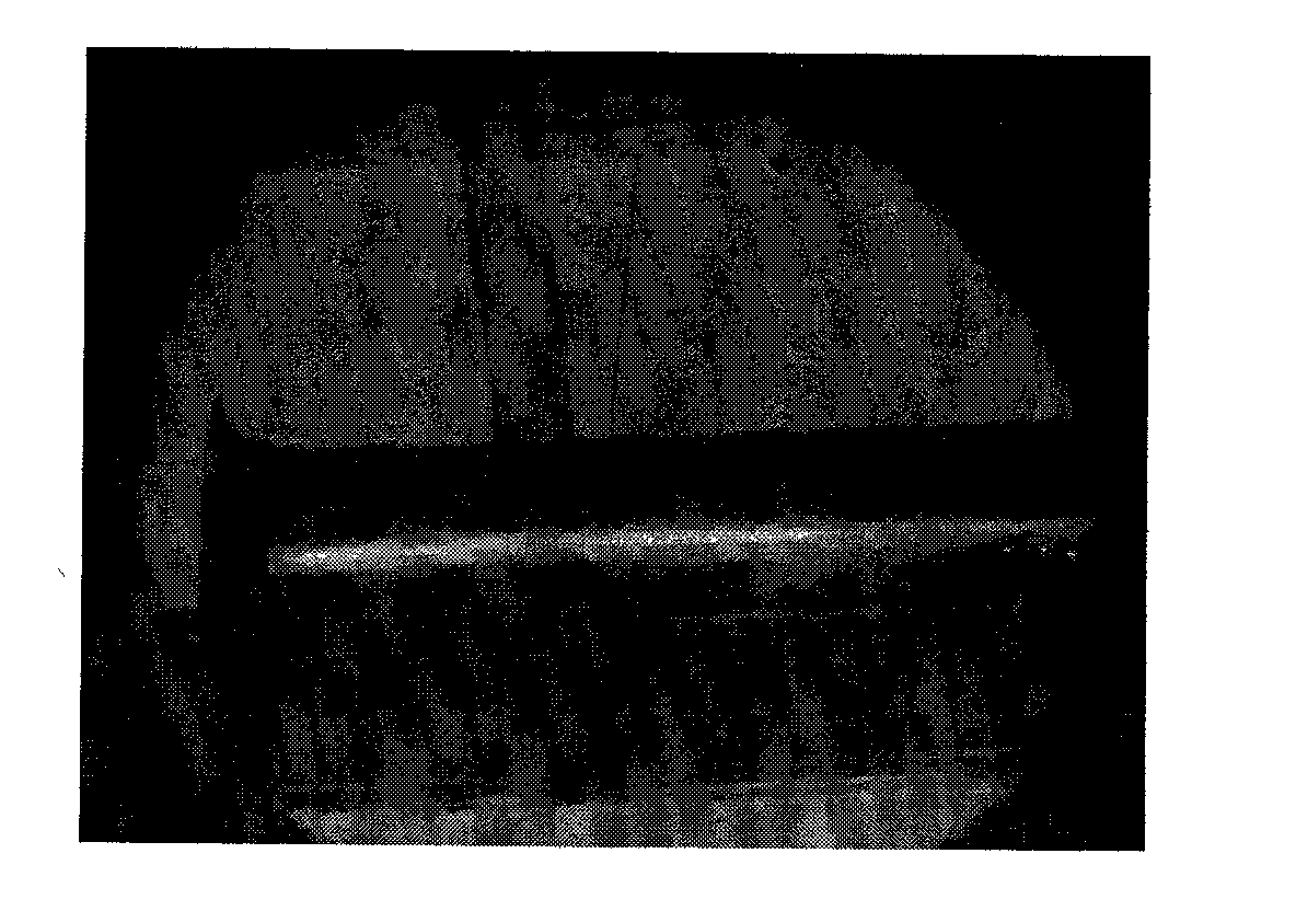 Lamellar carbon nanofibre and preparation method thereof