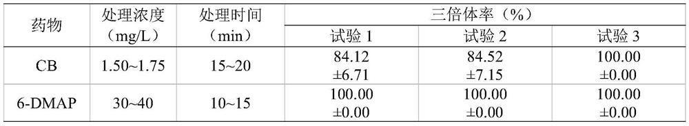 A method for chemically inducing abalone allotriploid