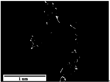 Full-bloom flower-shaped gold nanoparticle and preparation method thereof