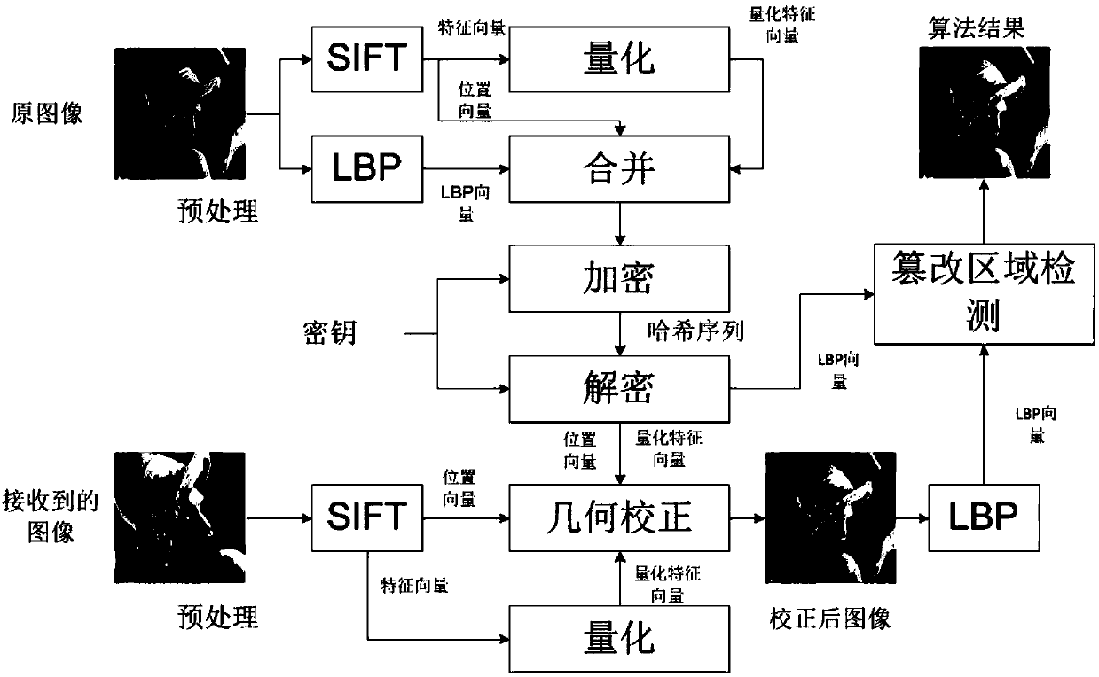 Robust image Hashing method based on SIFT (Scale-Invariant Feature Transform) and LBP (Local Binary Pattern) mixing