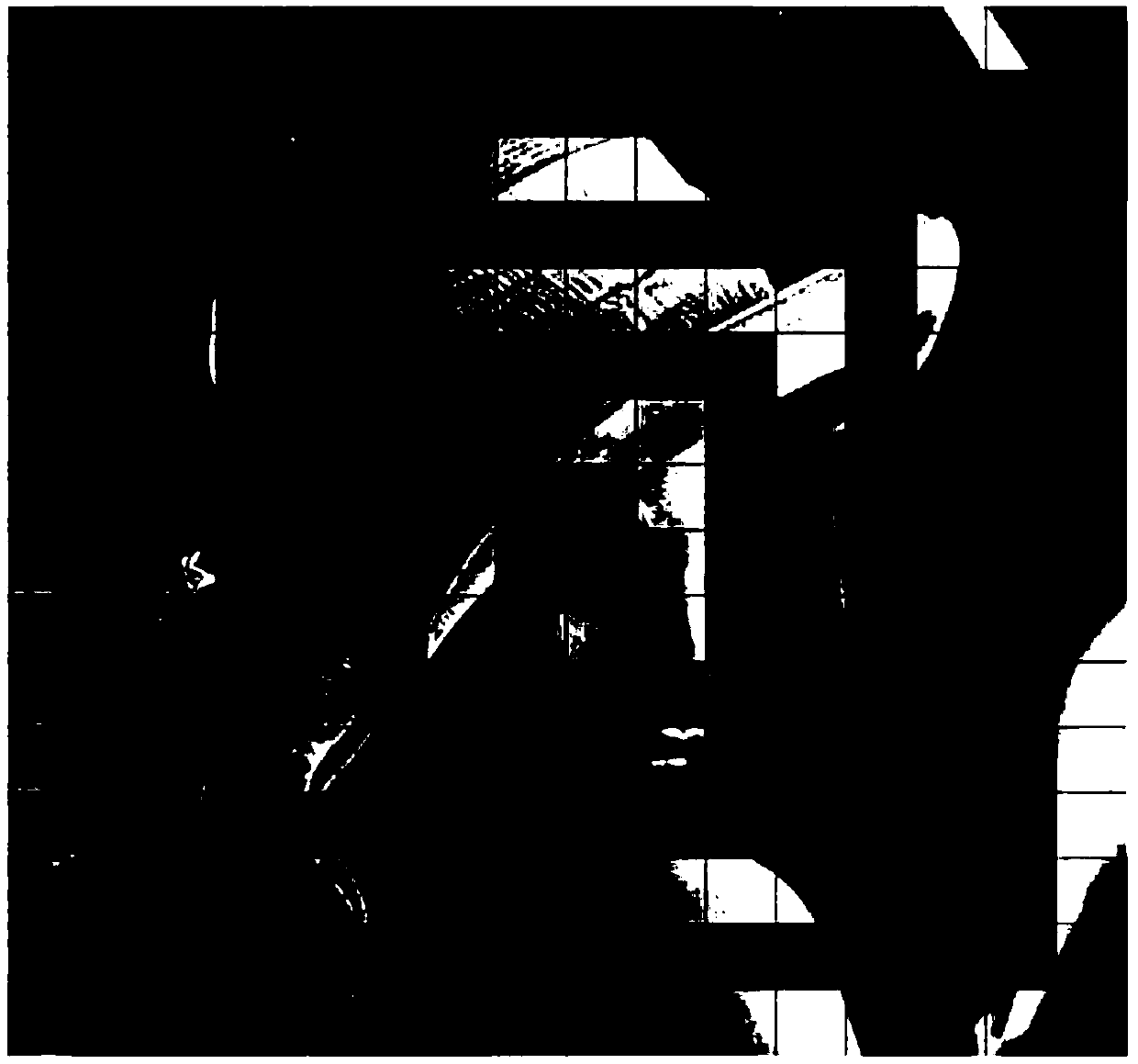 Robust image Hashing method based on SIFT (Scale-Invariant Feature Transform) and LBP (Local Binary Pattern) mixing