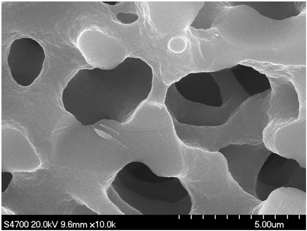 Preparation method of silica gel monolithic column