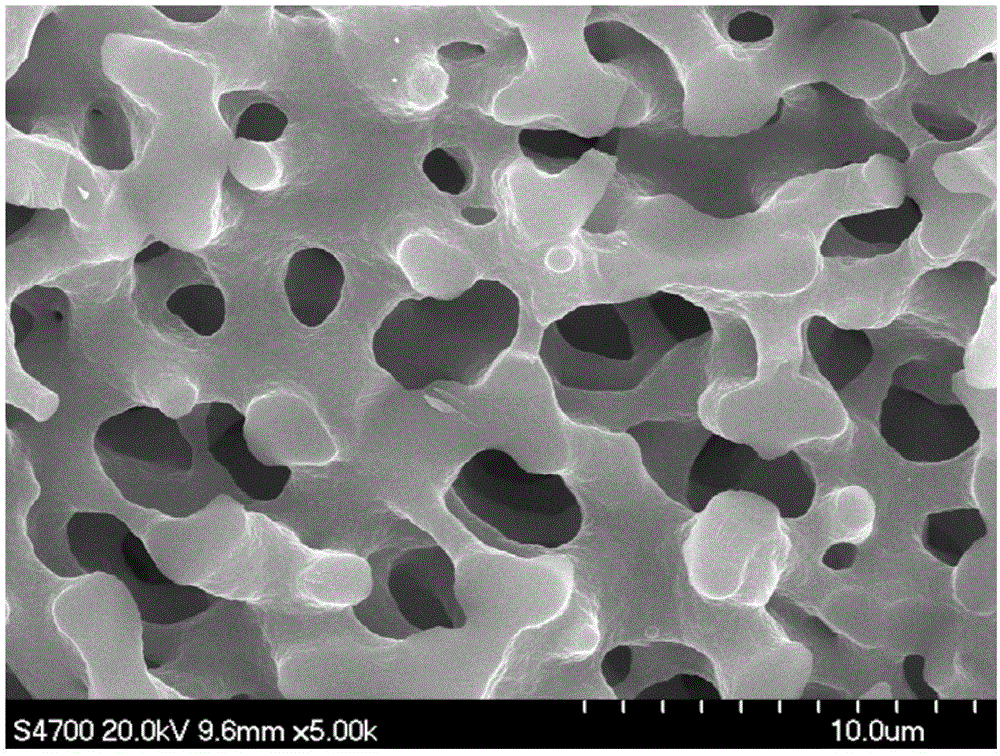 Preparation method of silica gel monolithic column