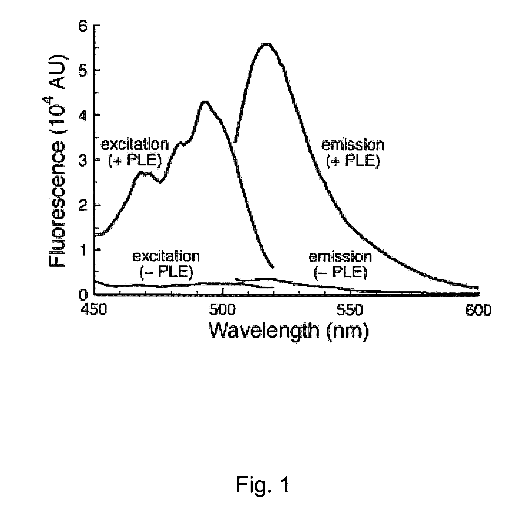 Fluorescence assays with improved sensitivity