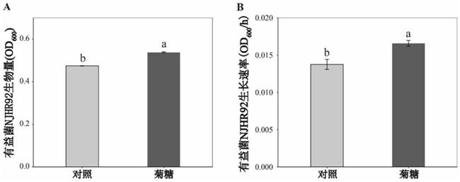 Application of synanthrin and beneficial bacteria in preventing and controlling tomato soil-borne bacterial wilt