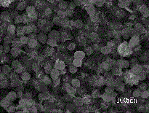 Hydro-thermal synthesis preparation method of copper, zinc, tin and sulfur films