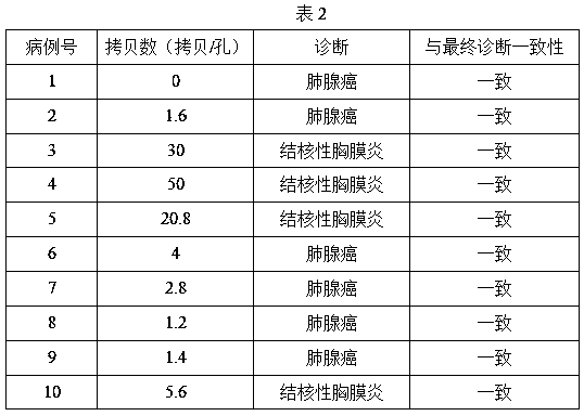 Dye method digital quantitative PCR kit as well as application and application method thereof