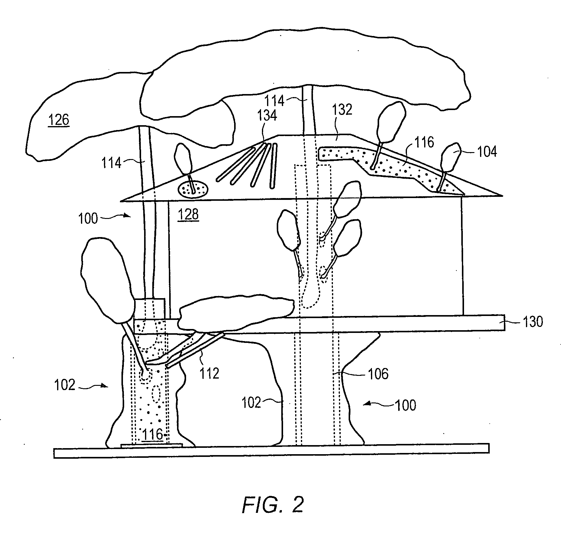 Tree with elevated structure