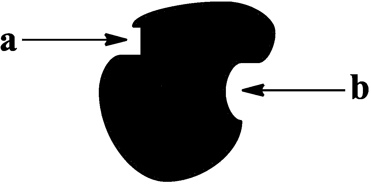 Enzyme directed immobilization method based on protein surface screening