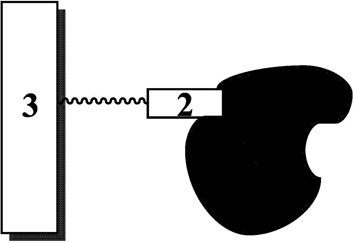 Enzyme directed immobilization method based on protein surface screening