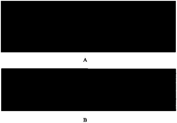 Foreign protein expression device used for secretory expression in Aspergillus oryzae cells and Aspergillus oryzae genetically engineered bacteria