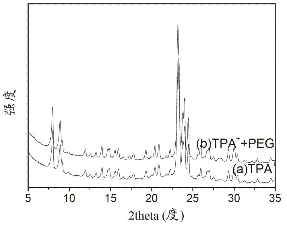 Pentasil type zeolite molecular sieve synthetic method