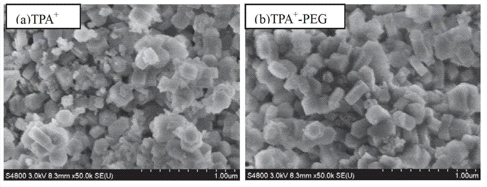 Pentasil type zeolite molecular sieve synthetic method