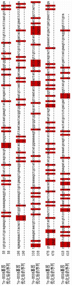 7alpha-hydroxyl steroid dehydrogenase gene optimized by codon