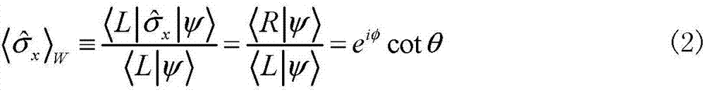 Polarization measurement system based on orbital angular momentum assistance