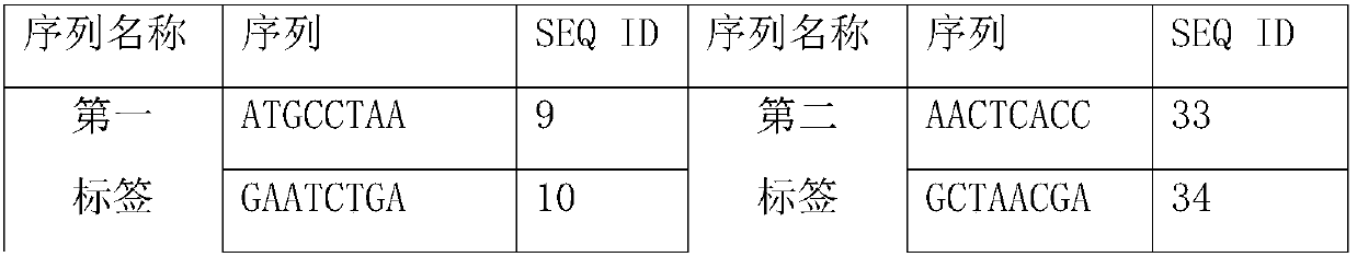 Illumina sequencing technology based kit and method for detecting hepatitis B typing and multi-drug resistant sites