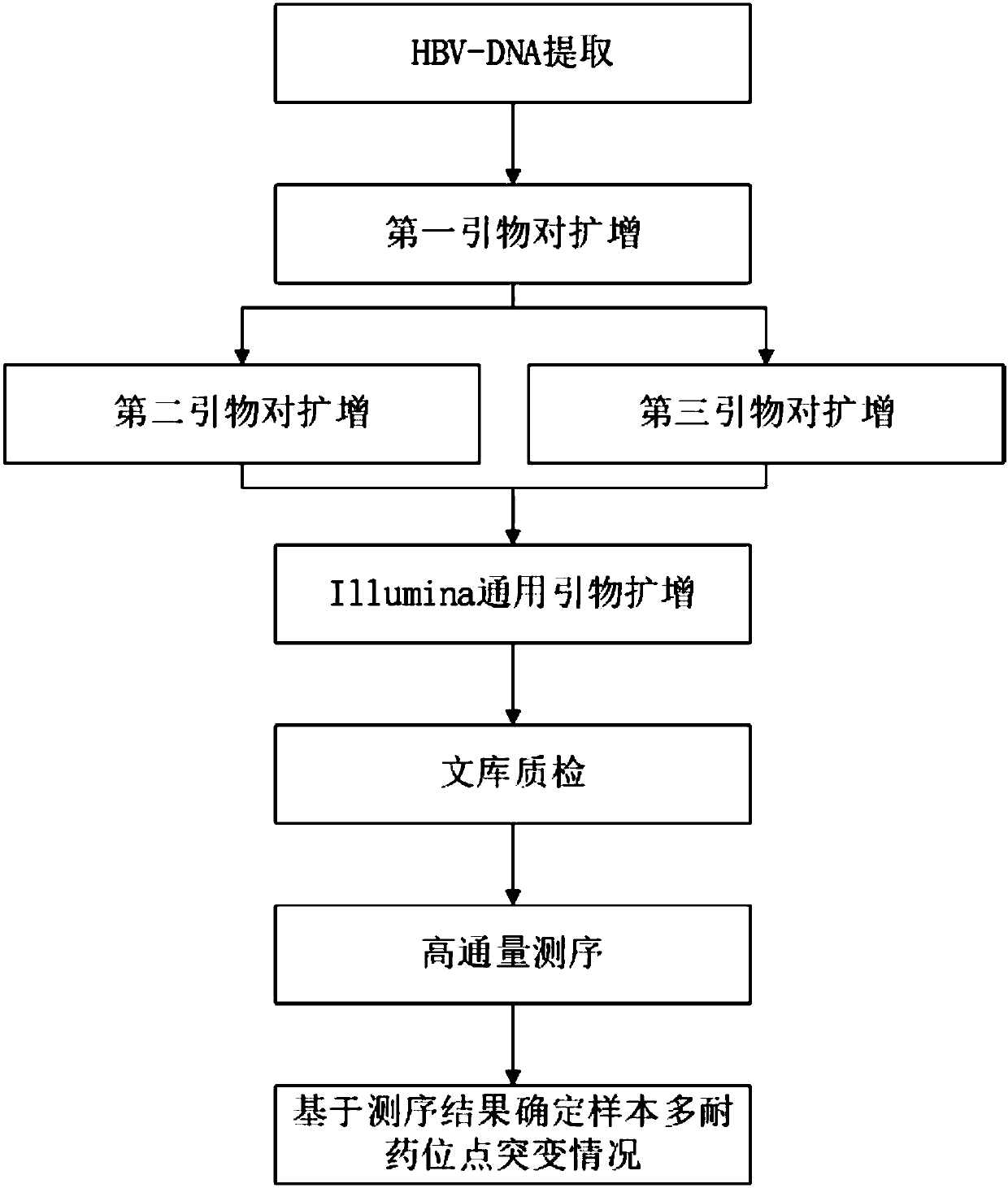 Illumina sequencing technology based kit and method for detecting hepatitis B typing and multi-drug resistant sites