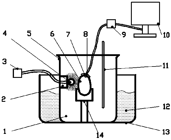 Rapid detection method and system for chicken embryo stress reaction on illumination