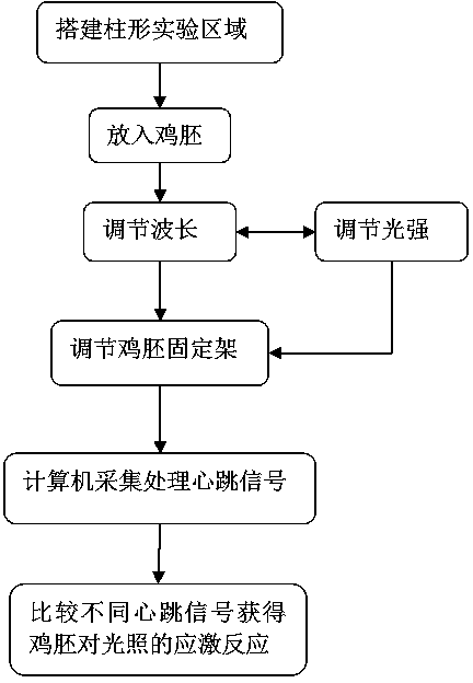 Rapid detection method and system for chicken embryo stress reaction on illumination