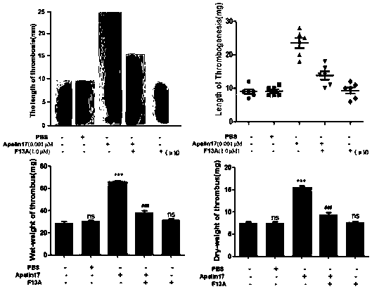 Apelin-17-containing pharmaceutical composition and application thereof