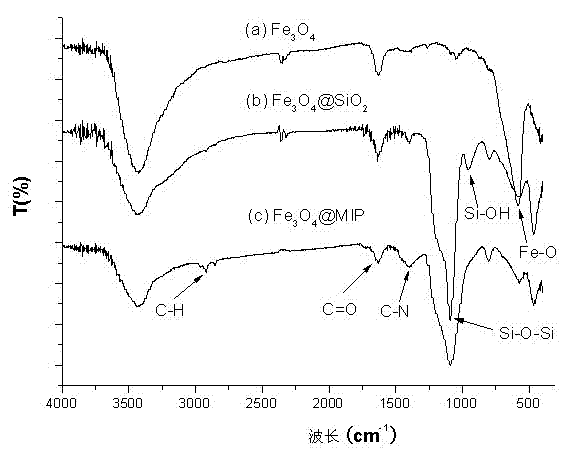 Preparation of bisphenol A submicron magnetic molecular imprint and application of same in detection pre-processing of packaged food