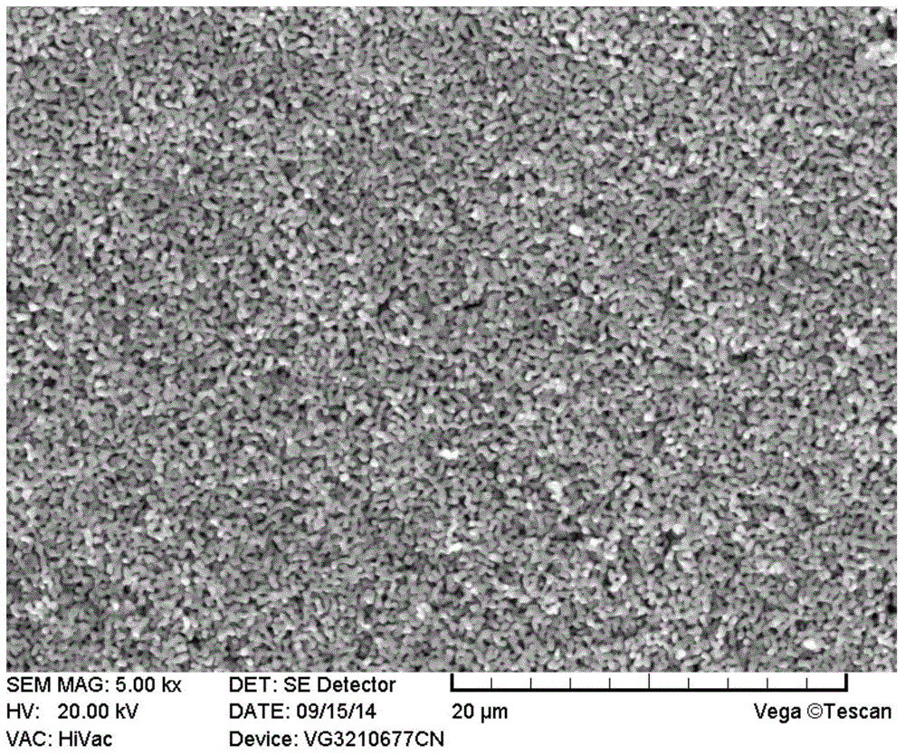 Method for preparing porous oxide film on metal carrier surface