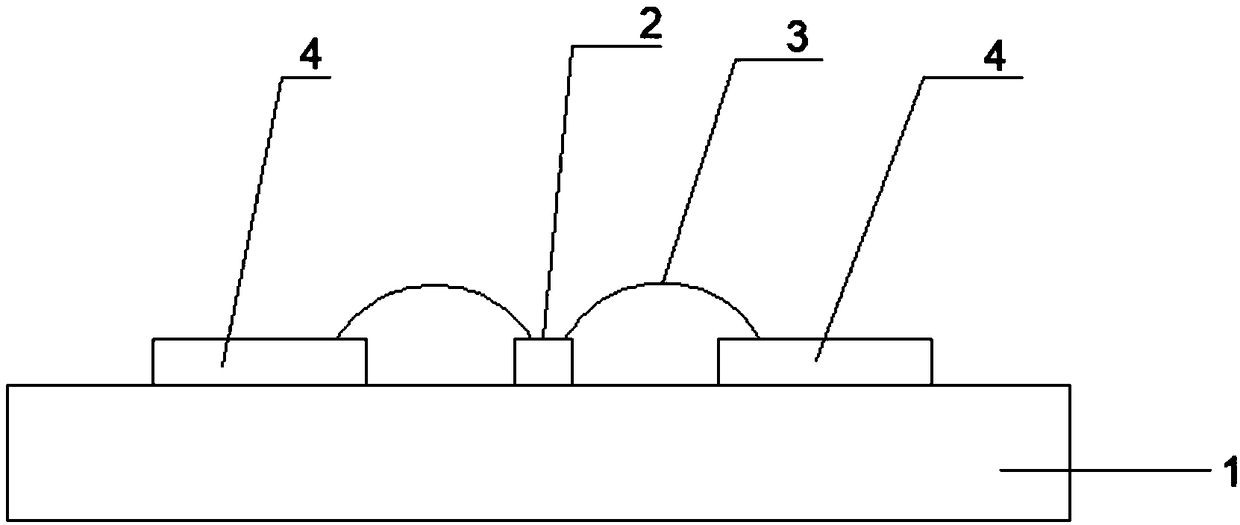 Packing structure for RF microwave power amplifier