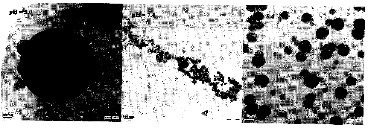 Imidazolisopropylacetyltheaninecarbobenzoxypyridoindole, and preparation method, nanostructure and application thereof