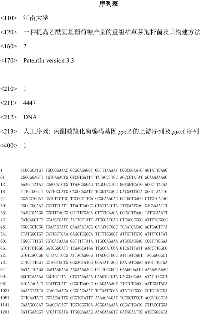 Recombinant bacillus subtilis capable of improving yield of acetylglucosamine, and constructing method thereof