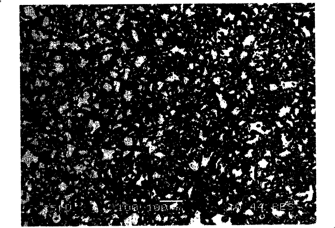 Rapid thermal pressed sintering molding process for titanium-aluminum alloy targets