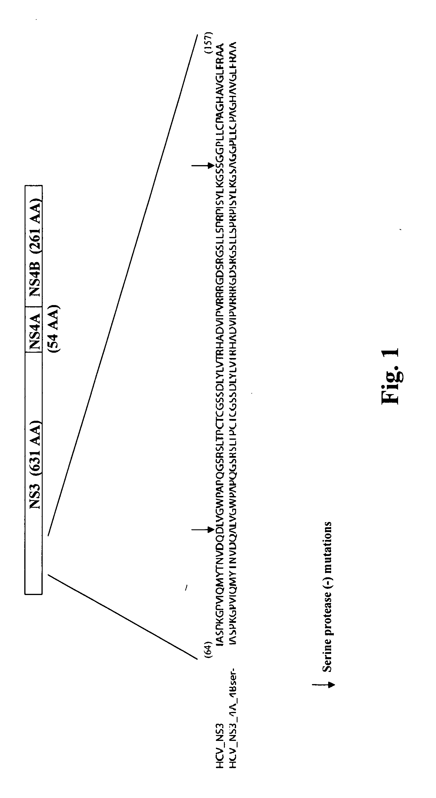 Recombinant human cytomegalovirus and vaccines comprising heterologous antigens