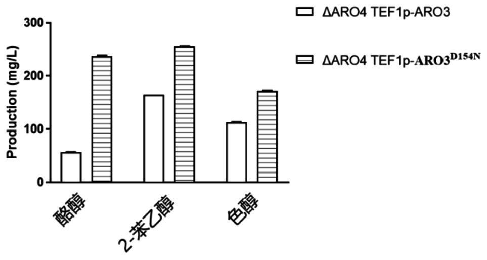 ARO3 protein mutant and application thereof
