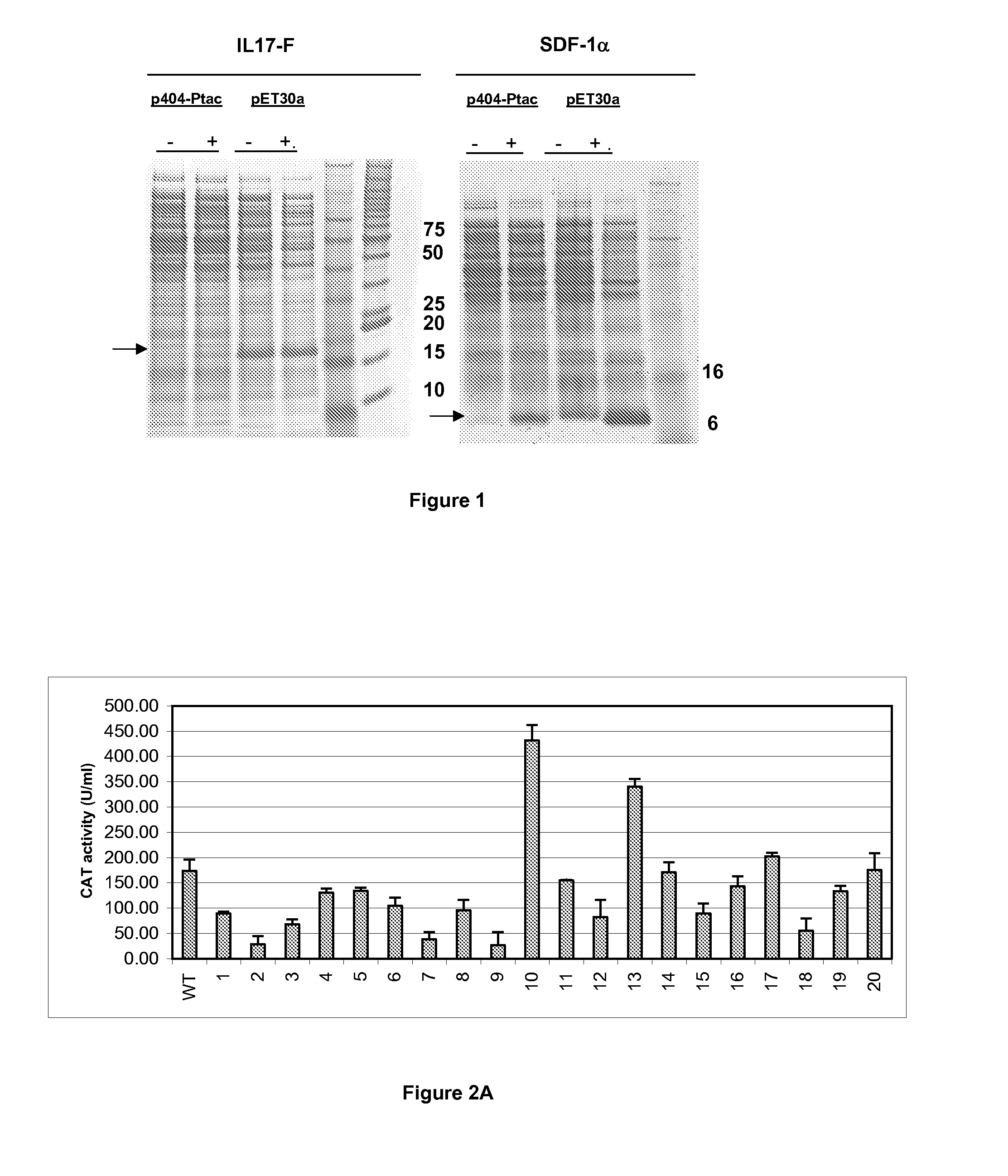 Variation of Recombinant Expression Titres By Optimising Bacterial Ribosome Binding Sites