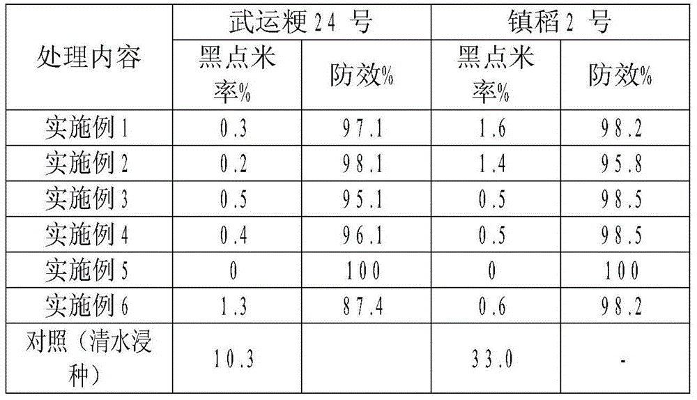 A method for controlling the production of rice black spots by soaking seeds