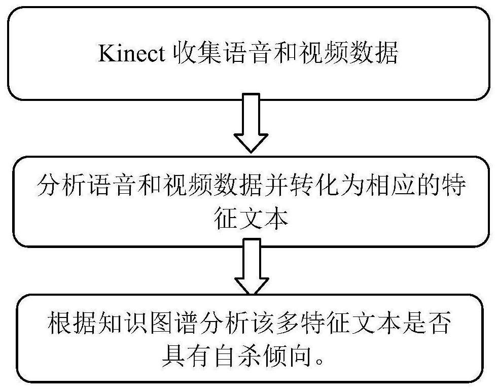 Voice and micro-expression recognition suicide emotion perception method based on knowledge graph