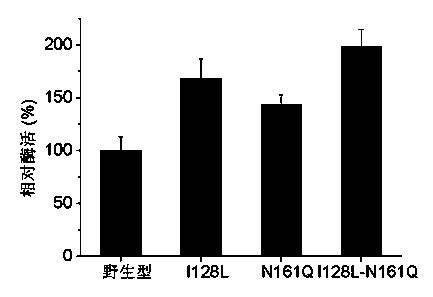 Fungus nitrilase mutants with improved catalytic activity and heat stability and construction method thereof